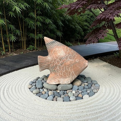Koi fisch karpfen marmor - koi,
