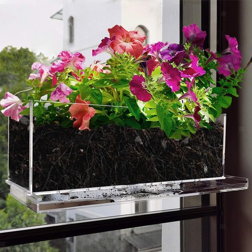 Transparenter blumentopf - transparenter,