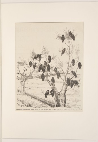 August gaul lithographie - august,