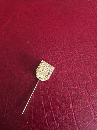 Alte anstecknadel souvenir - ,