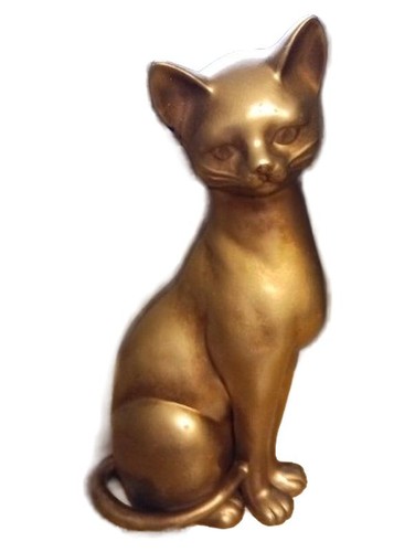 Vaga international katze - vaga,