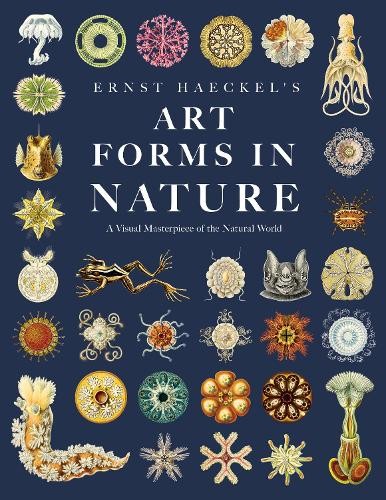 Ernst haeckel - haeckel, haeckel's