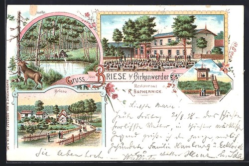 Lithographie briese - lithographie,