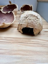 🌟 BIO Unbehandelt Kokosnuss