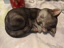 Niedliche schlafende Katze