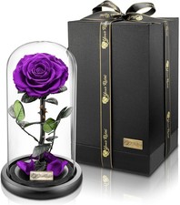 Konservierte Rose im Glas - romantisches Geschenk in verschiedenen Farben