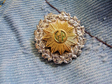 Anstecknadel Polizei GDP