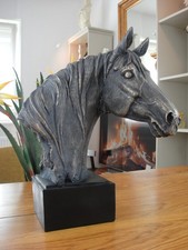 Pferd pferdekopf - pferd,