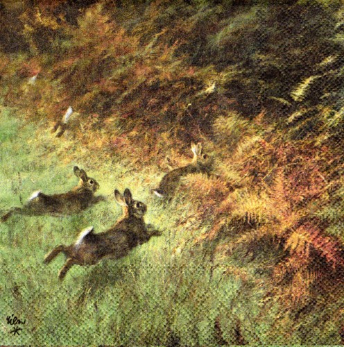 Servietten wilde tiere - 3,