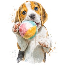 2x Sticker Beagle Car Sticker