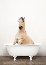 Poster Pferd in der Badewanne