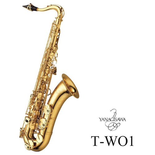 Yanagisawa wo1 two1 - yanagisawa,