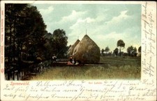 1906 Litho-AK aus dem