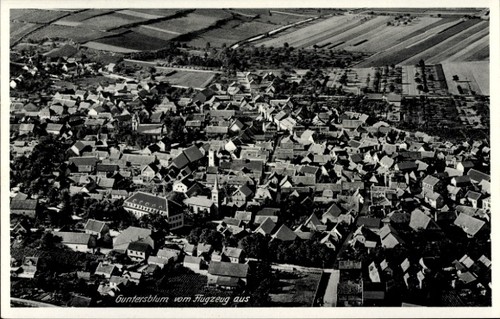Guntersblum rhein - am,