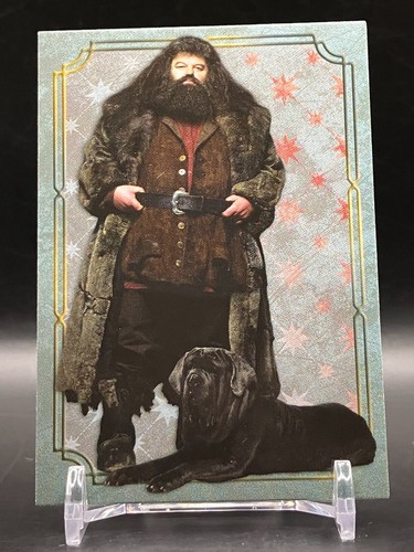 Harry potter evolution rubeus - harry,