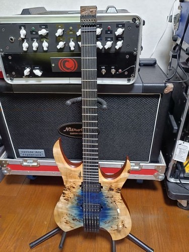 Mayones hydra gitarre nazgul - hydra, e-gitarre