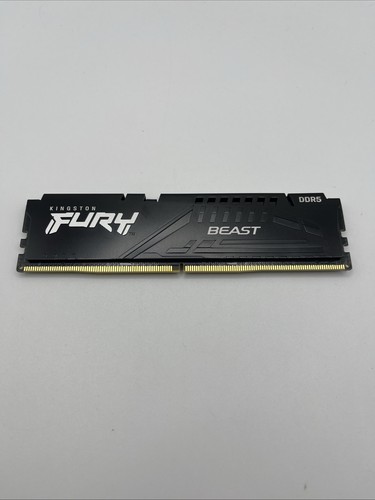 Kingston fury beast - kingston,