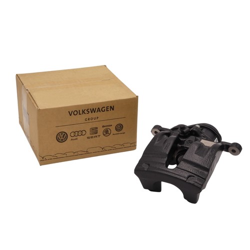 Bremssattel hinten rechts