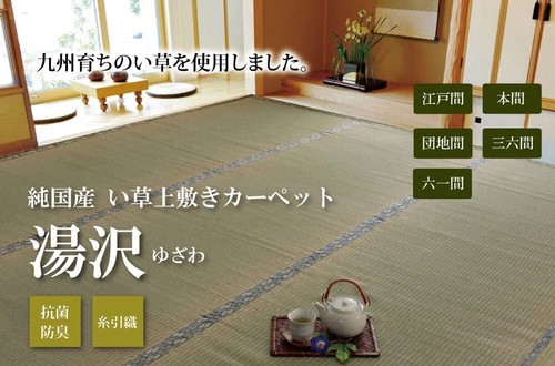 Ikehiko japanische rauschgras - ikehiko,