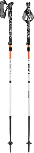 Leki skysolo carbon - carbon, unisex