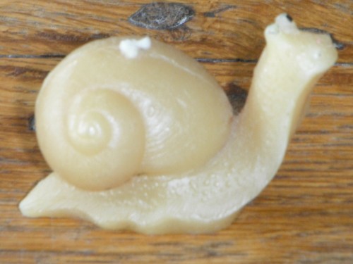 Schnecke bienenwachskerze - schnecke,