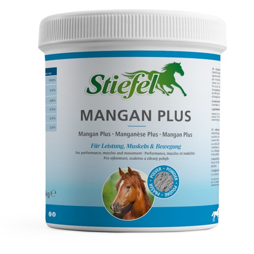 Mangan plus - mangan,