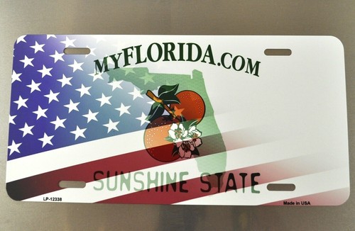 Usa florida orangen - usa, blüten