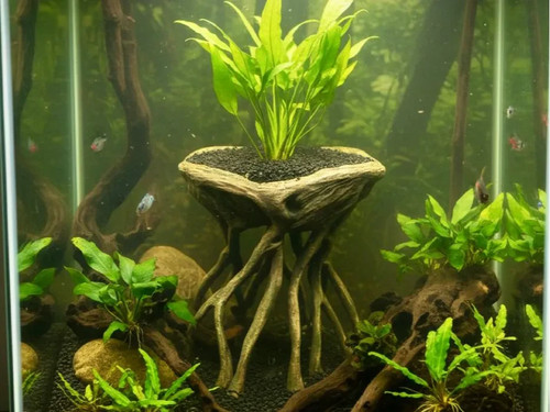 Großer wurzel planter - wurzel, |