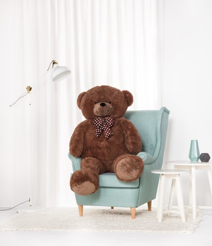Teddybär groß xxl - teddybär, (braun
