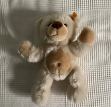 Steiff Teddy, neuwertig, da nie mit ihm gespielt wurde 