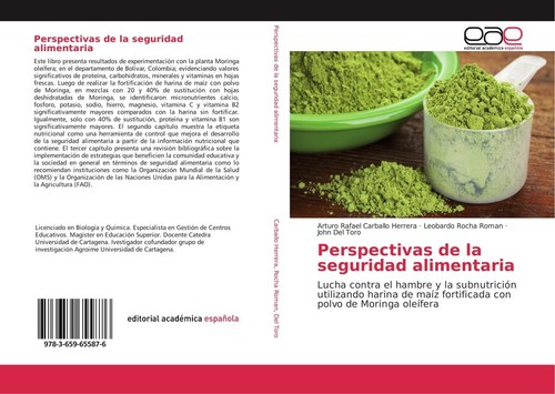 Perspectivas seguridad - de, la