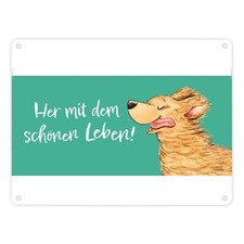 Hund Metallschild in 15x20 cm