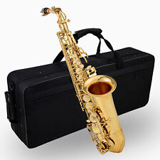 Alt Saxophon Sax Saxofon Es Stimmung Koffer Mundstück Blättchen klar lackiert DE