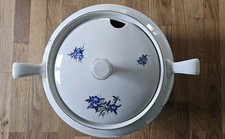 Supoenterrine REICHENBACHER