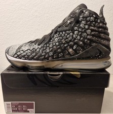 Nike Lebron XVII 17 In the