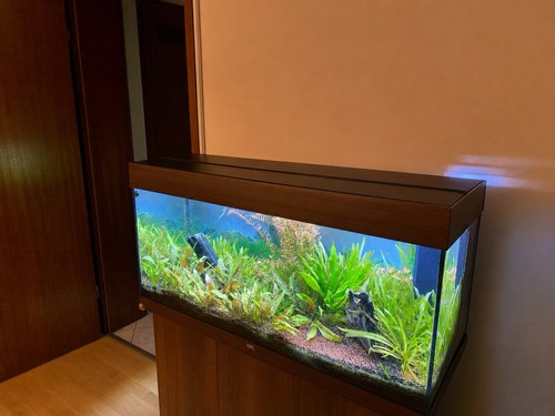 Juwel rio 180 led - 180,