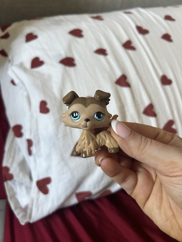 Littlest pet shop brown collie - pet,