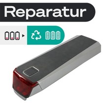 BionX 48V 6,6Ah Diamant R320  Ride+ E-Bike Akku Zellentausch