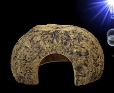 Aquarium Deko 🍀 PARANUSS