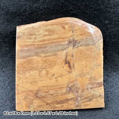 Fossiler stromatolith fossile - stromatolith, (fossile