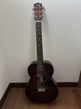 Elektrische Akustikgitarre