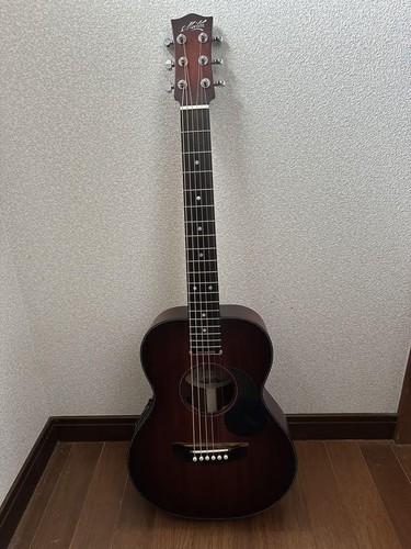 Elektrische akustikgitarre - elektrische,