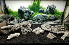 SEIRYU RYUOH STEIN ADA STIL