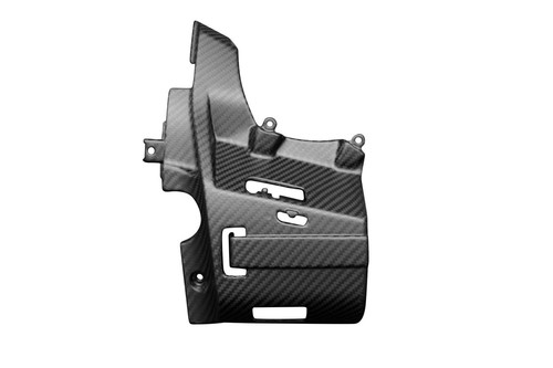 Carbon motorabdeckung links - motorabdeckung,