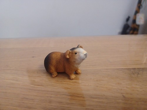 Schleich meerschweinchen figur - schleich,