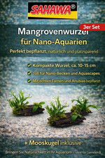 3x Mangrove Wurzel