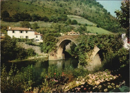 Cpm bidarray pont noblia - bidarray,
