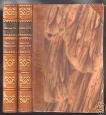 Christian Wahnschaffe. Roman i