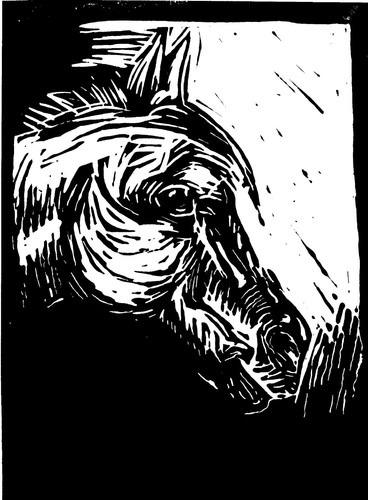 Linoldruck das pony - linoldruck, pony"