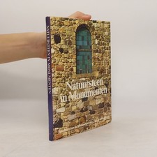 Natuursteen in monumenten 